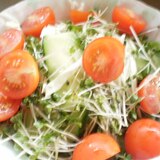 きゅうりとキャベツトマトの生野菜サラダ
